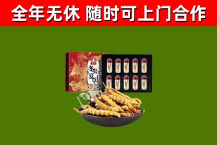 东源县回收冬虫夏草价格